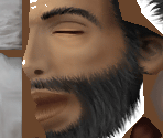 Hollander - Crisis Core: Final Fantasy VII