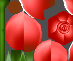 Firion's Wild Rose - Dissidia: Final Fantasy