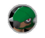 Torterra - Pokémon Battle Revolution