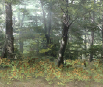 Underground Backgrounds - Pikmin 2