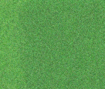 Pitch - FIFA 2000