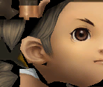 Bandit - Final Fantasy Crystal Chronicles: My Life as a Darklord