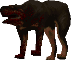 Dog - Quake