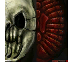 Skulltula - The Legend of Zelda: Twilight Princess