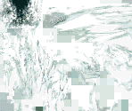 Freezard - The Legend of Zelda: Twilight Princess