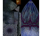 Bari - The Legend of Zelda: Twilight Princess