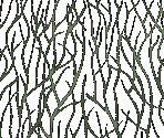 Wall of Ivy - Yu-Gi-Oh! 5d's Wheelie Breakers