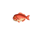 Fish - Animal Crossing: Wild World