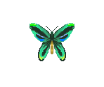 Insects - Animal Crossing: Wild World