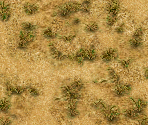 Terrains (2/2) - Age of Mythology