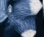 Sonic the Werehog - Sonic Unleashed