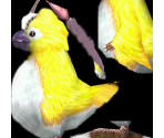 Rappy - Phantasy Star Online