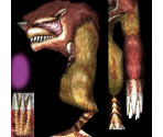 Booma - Phantasy Star Online