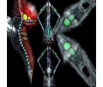 Bulclaw - Phantasy Star Online