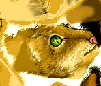 Cat - Fate