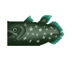 Fish - Animal Crossing: City Folk