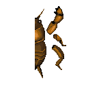 Insects - Animal Crossing: City Folk