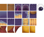 Spyro - Spyro 3: Year of the Dragon