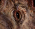 Mole Rat - Fallout 3