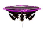 Final Destination Trophy - Super Smash Bros. Melee