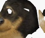 Yorkshire Terrier - Nintendogs