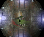 Battle Arena - Donkey Kong 64