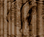 Kwama Forager - The Elder Scrolls III: Morrowind