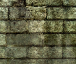 Sewers - The Elder Scrolls IV: Oblivion