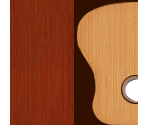 Acoustic Guitar - Wii Music