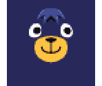 Poncho - Animal Crossing: City Folk
