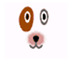 Bones - Animal Crossing: City Folk