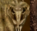 Hircine - The Elder Scrolls III: Morrowind