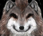 Wolf - The Elder Scrolls III: Morrowind