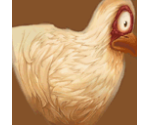 Chicken - Tak: The Great Juju Challenge