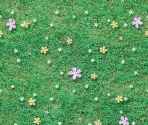 Lita Forest 1 - Fairy Bloom Freesia