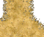 Paths - RollerCoaster Tycoon 3