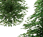 Trees - RollerCoaster Tycoon 3