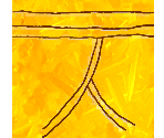 Gold Underwear - SpongeBob SquarePants: Battle for Bikini Bottom