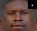 Bus Driver (Unused) - Grand Theft Auto IV