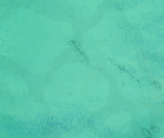 Turfs (Water) - Don't Starve / Don't Starve Together