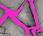 Turfs (Ruins) - Don't Starve / Don't Starve Together