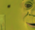 Shrek - Shrek Extra Large