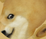 Doge - Roblox