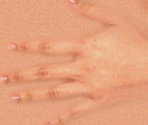 Character Hands - Pass the Pigs: Let the Good Swines Roll!