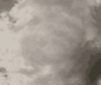 Cloud - Predator: Concrete Jungle
