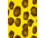 leopard tee - Animal Crossing: New Leaf