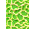 melon tee - Animal Crossing: New Leaf