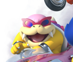 Roy - Mario Kart 8