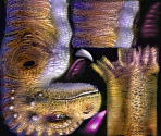 Snaplak - Star Fox Adventures