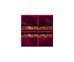 Walls - Blake Stone: Planet Strike